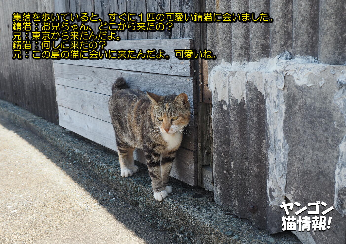 猫旅_第1回_福岡県相島_ver2.0_003