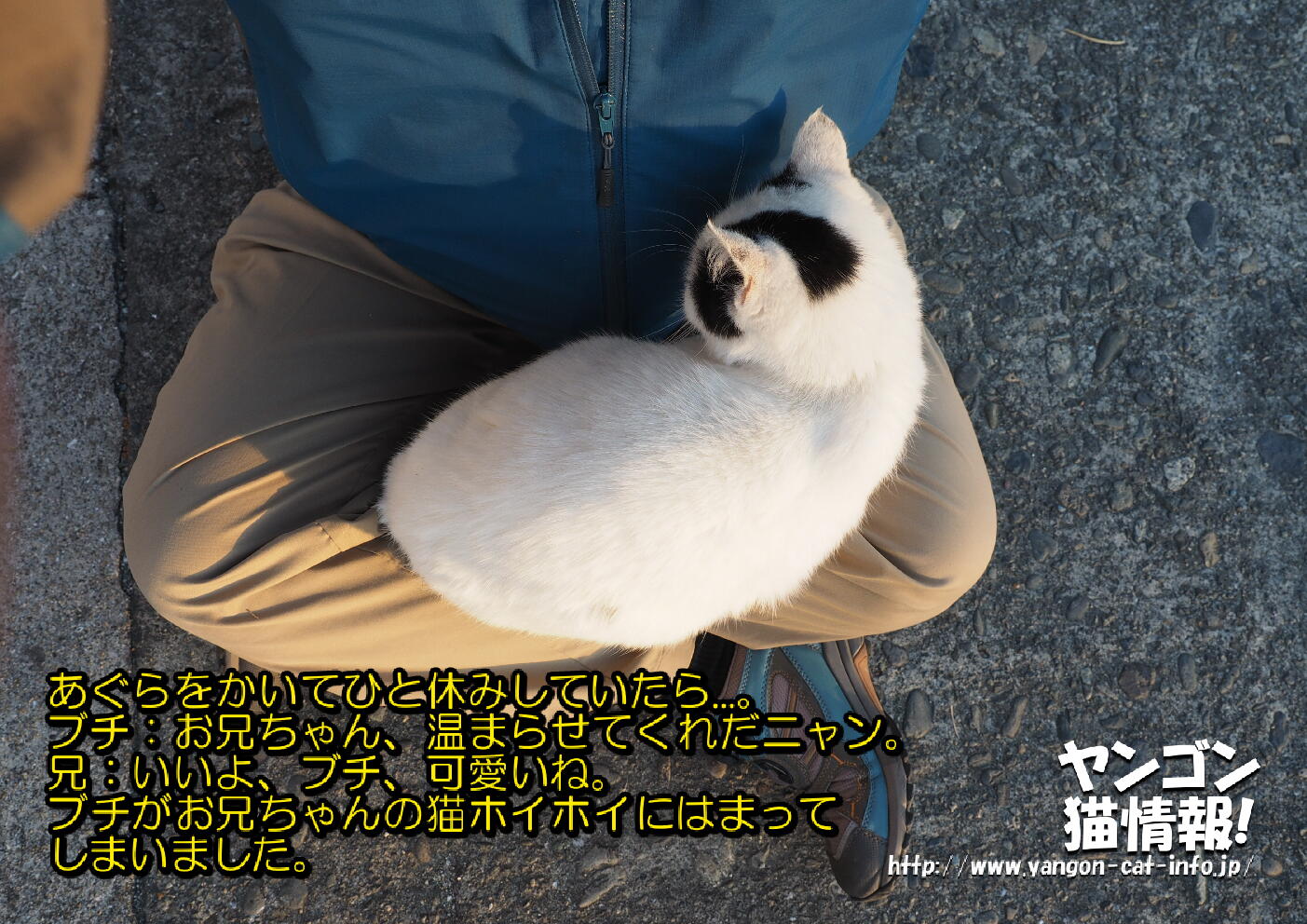 猫旅_第8回_熊本県湯島_017