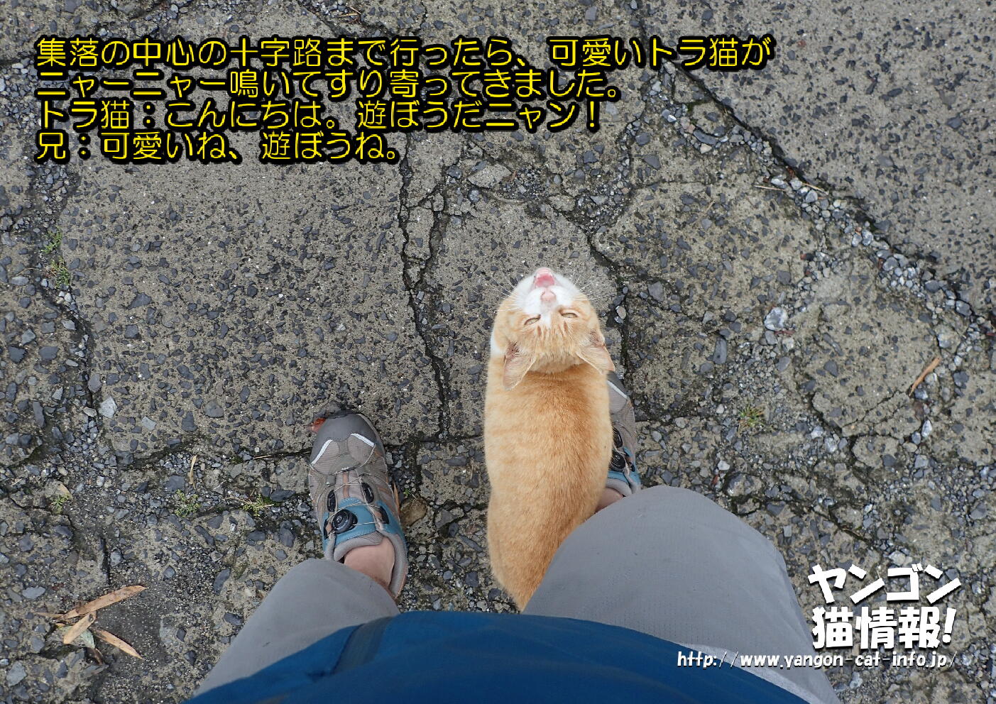 猫旅_第10回_鹿児島県竹島_013