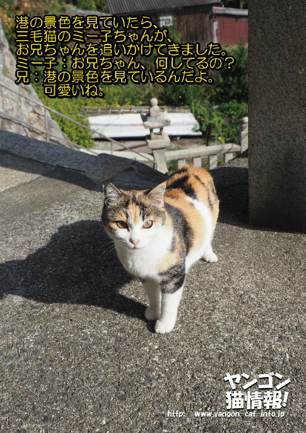 猫旅_第15回_愛媛県青島_025