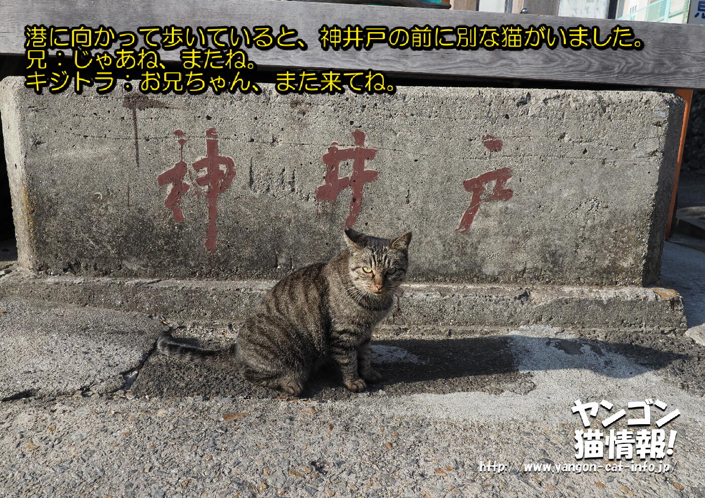 猫旅_第14回_香川県男木島_039