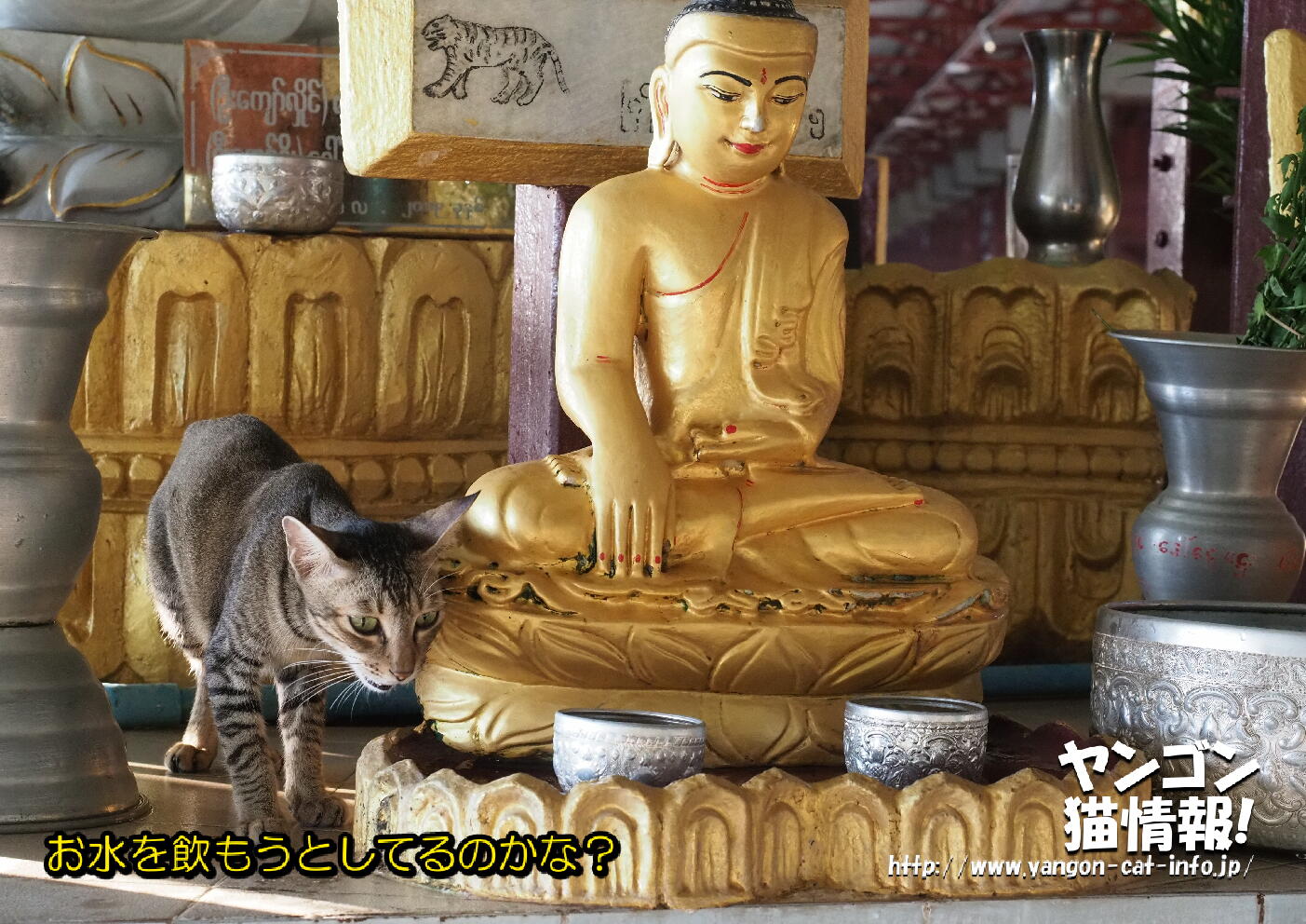 猫旅_第16回_ミャンマーヤンゴン_041