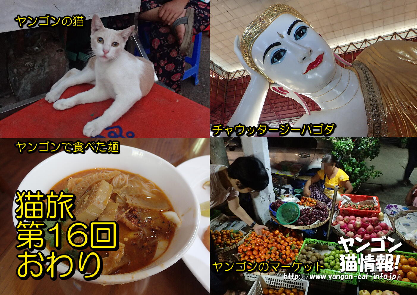 猫旅_第16回_ミャンマーヤンゴン_059