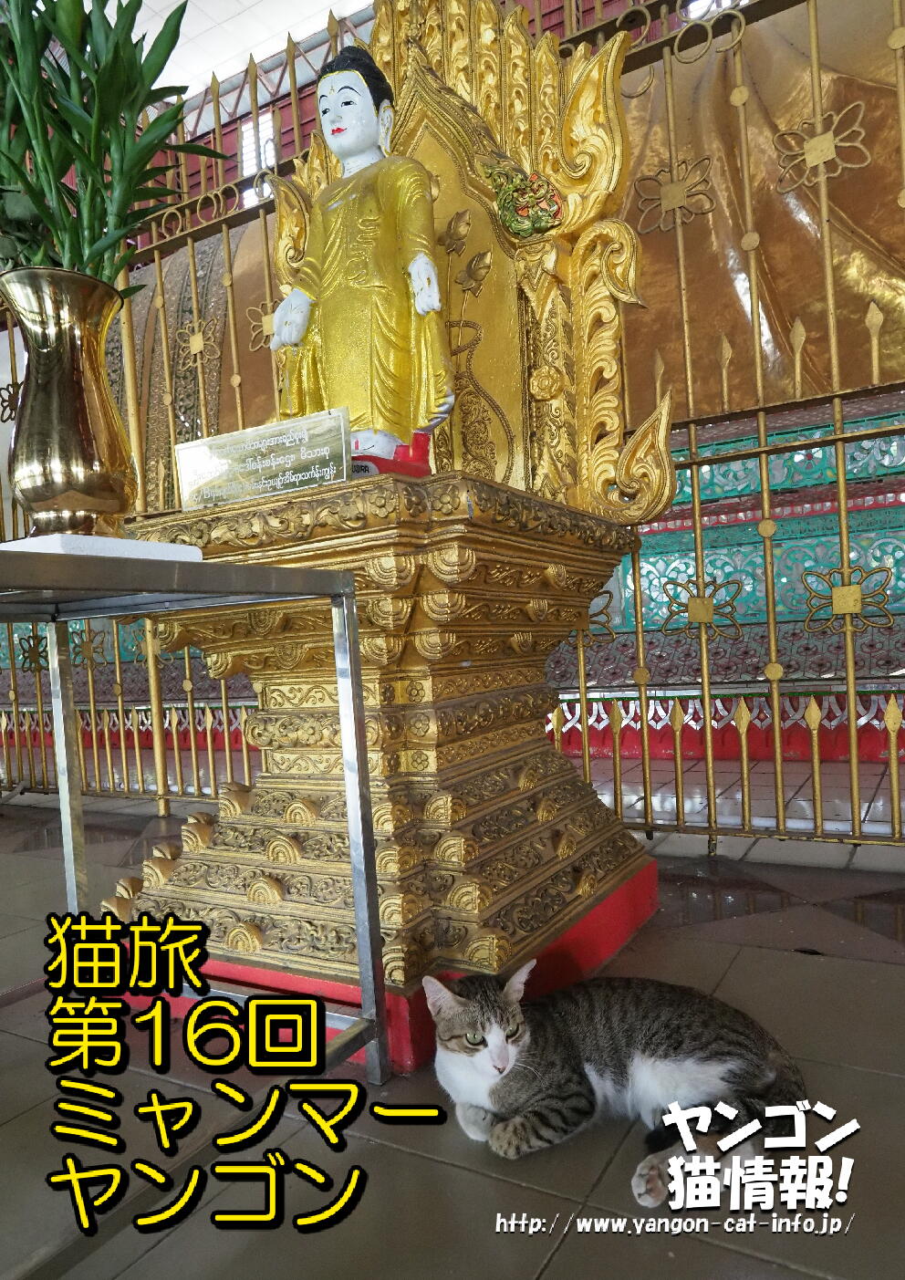 猫旅_第16回_ミャンマーヤンゴン_000