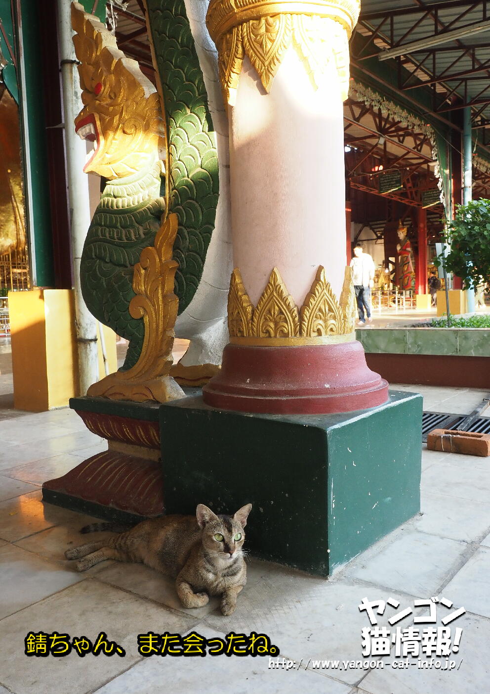猫旅_第16回_ミャンマーヤンゴン_042