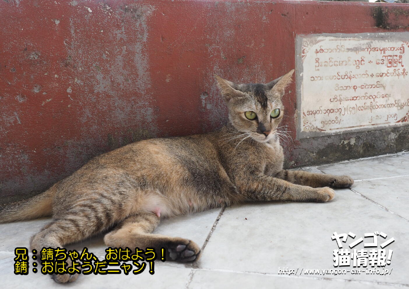 猫旅_第16回_ミャンマーヤンゴン_053